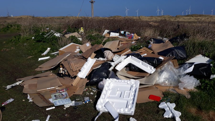 PD Ports joins Redcar and Cleveland Council to condemn fly tipping at South Gare